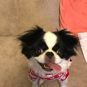 Meet your Posher, Naeemah